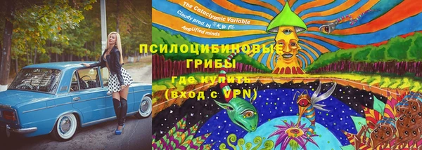 ПСИЛОЦИБИНОВЫЕ ГРИБЫ Абаза