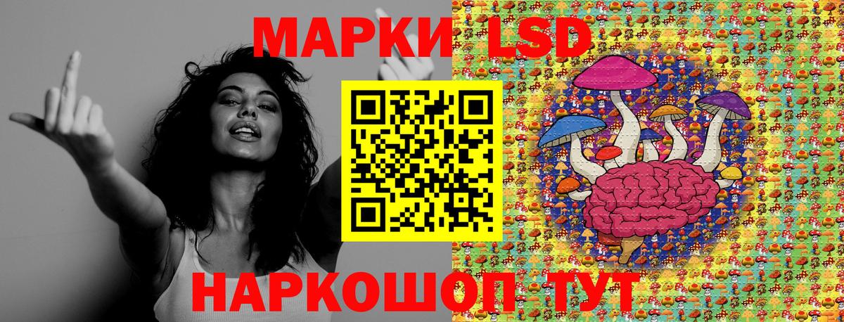 купить закладку  Наркотические марки 1,5мг  Вход с VPN  Кимовск 