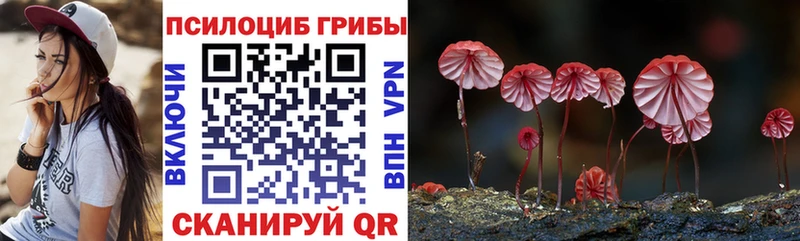 Псилоцибиновые грибы мухоморы  где купить наркоту  Кимовск 